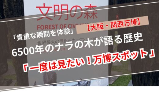 【見ないともったいない！？】6500年の命を感じる「文明の森の展示」—大阪万博2025で見られる貴重な木々