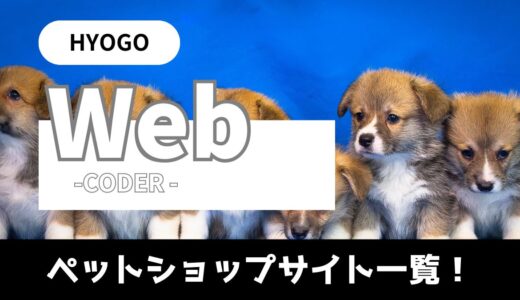 【Webコーダー】兵庫県のペットショップサイト一覧！ホームページ制作を頼まれたら絶対見ておきたいサイト！