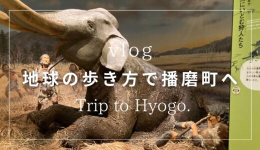 【地球の歩き方×兵庫】播磨町を歩く｜大中古代の村と考古博物館で弥生時代を体験